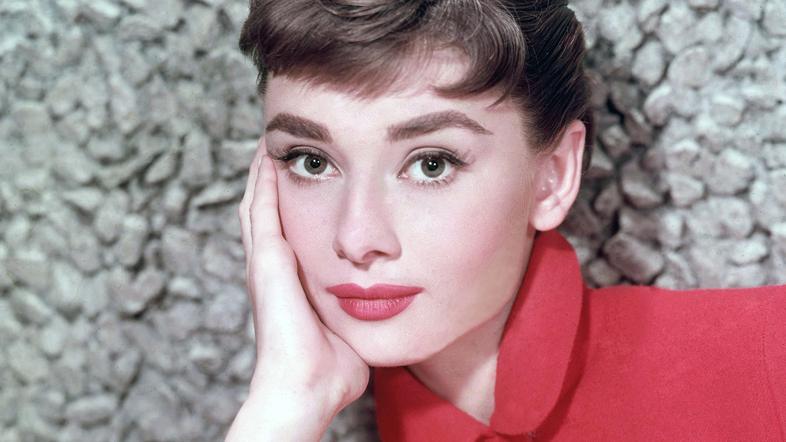 Коллекцию автографов селебрити продали на аукционе за 55 тысяч фунтов стерлингов