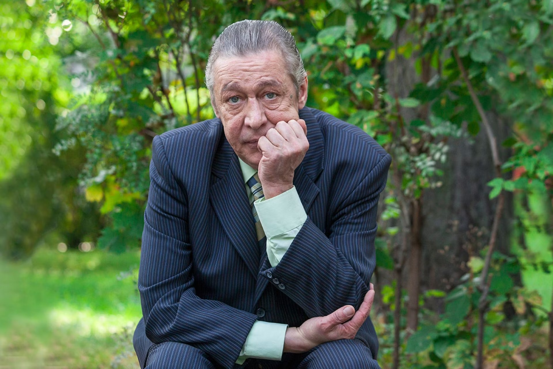 Михаил Ефремов получил роль в сериале