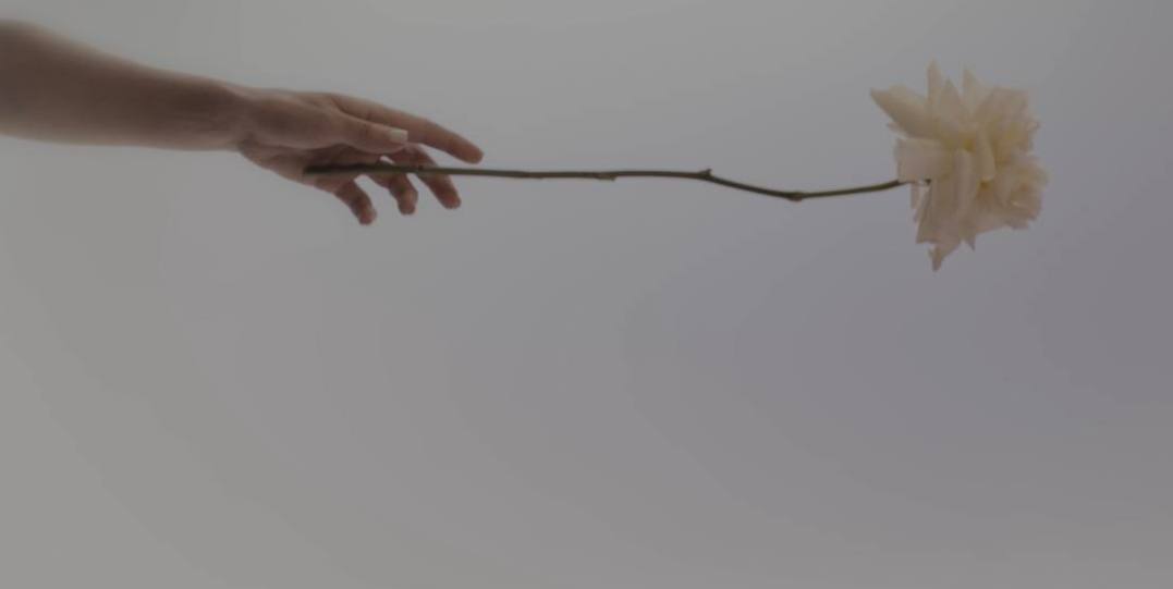 Звезды любят цветы: три причины, почему в шоу-бизнесе выбирают бренд «Цветочки»