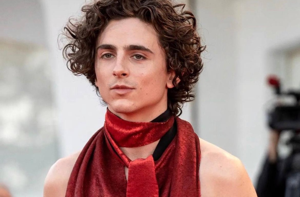 Тимоти Шаламе сыграет Боба Дилана в новом фильме о рок-музыканте